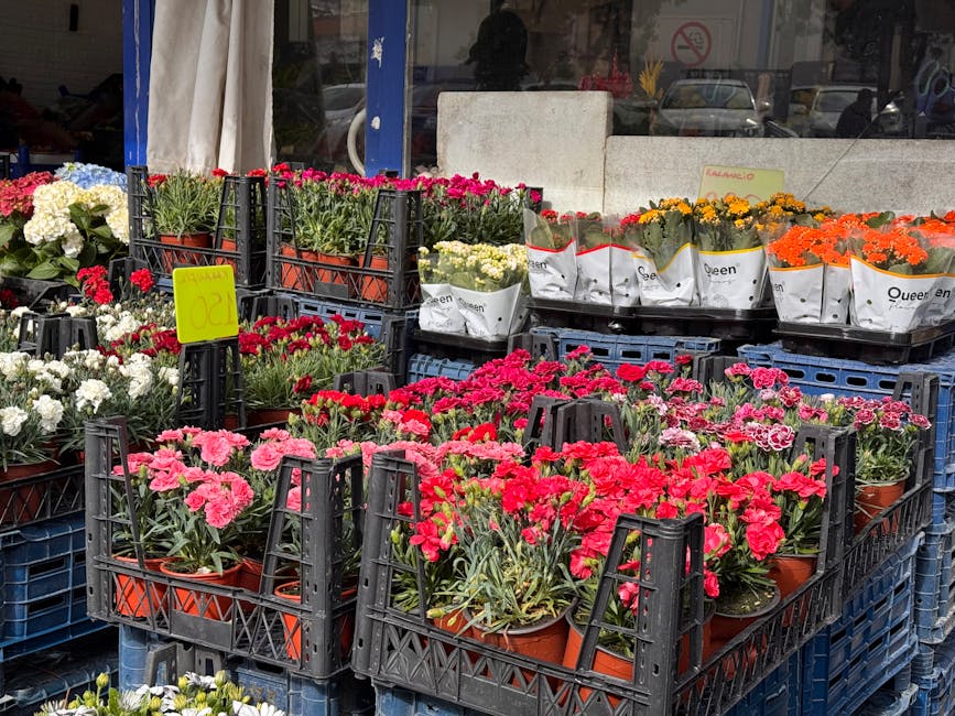 An outdoor display of colorful potted carnations in shades of pink, red, white, and orange arranged in black plastic crates at a flower shop featuring fresh flowers. The carnations have vibrant, lush 